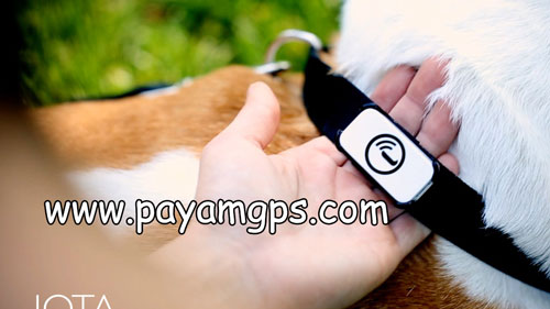 ردیاب Iota بعنوان کوچکترین ردیاب جی پی اس برای ردیابی افراد ، ردیابی حیوانات، ردیابی اشیاء و ردیابی موتور سیکلت ، دوچرخه و خودرو