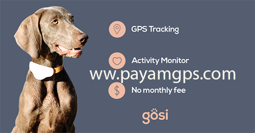 خرید ردیاب Gosi برای ردیابی حیوانات خانگی