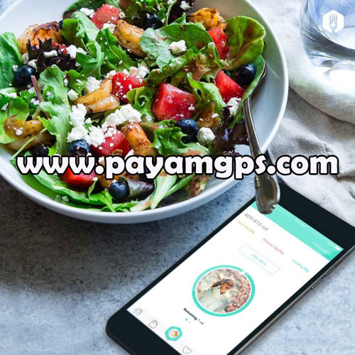نرم افزار CalorieWiz بهترین اپلیکیشن محاسبه کالری غذای شما